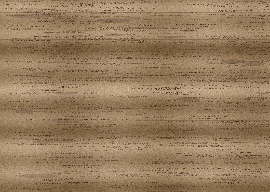 LONG BOARDS / 长板