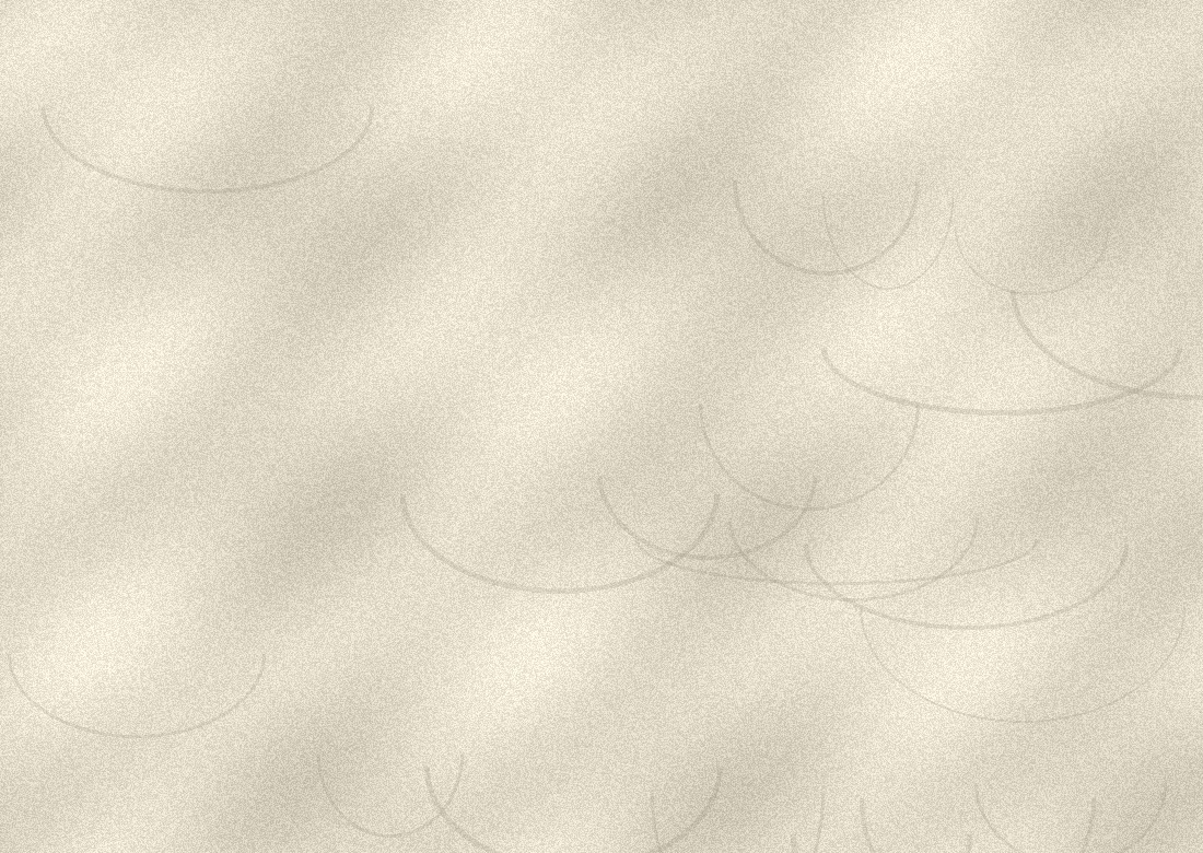 Limewash Wall Finish / 石灰洗墙面涂料