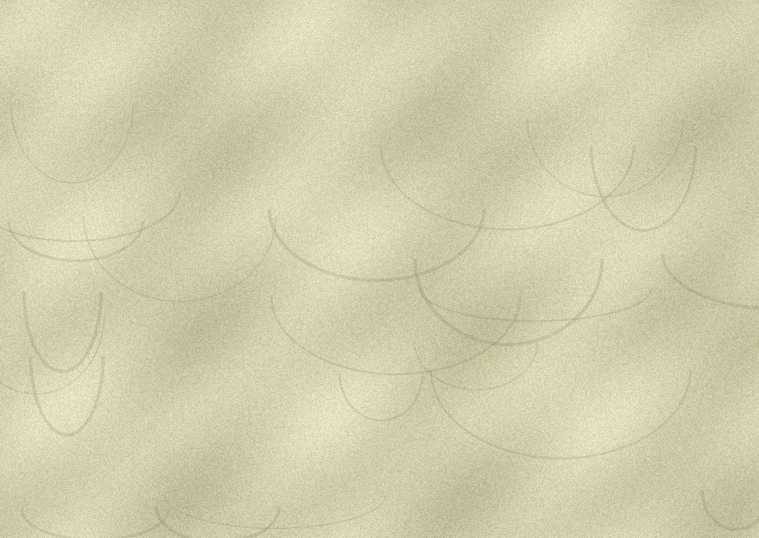 Mineral Texture Coating / 矿物肌理涂料 — detail / 细节